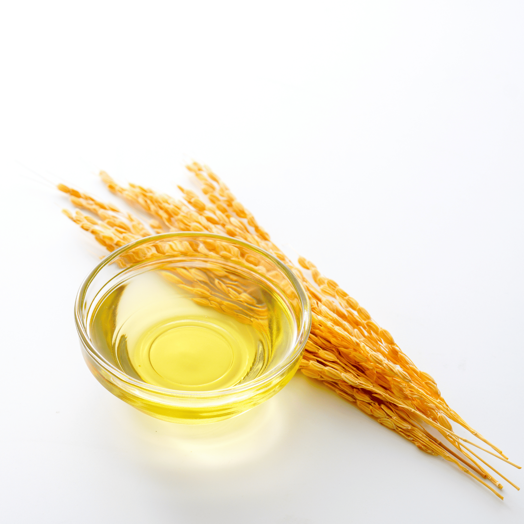 Ingredient Spotlight: Rice Bran Oil Benefits For Skin – MŪN