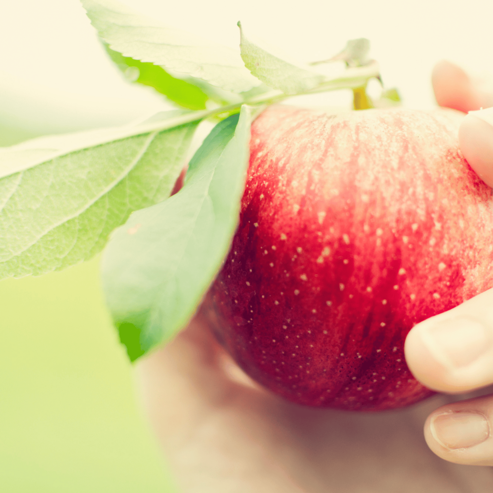 Apple Seed Oil Benefits for Skin