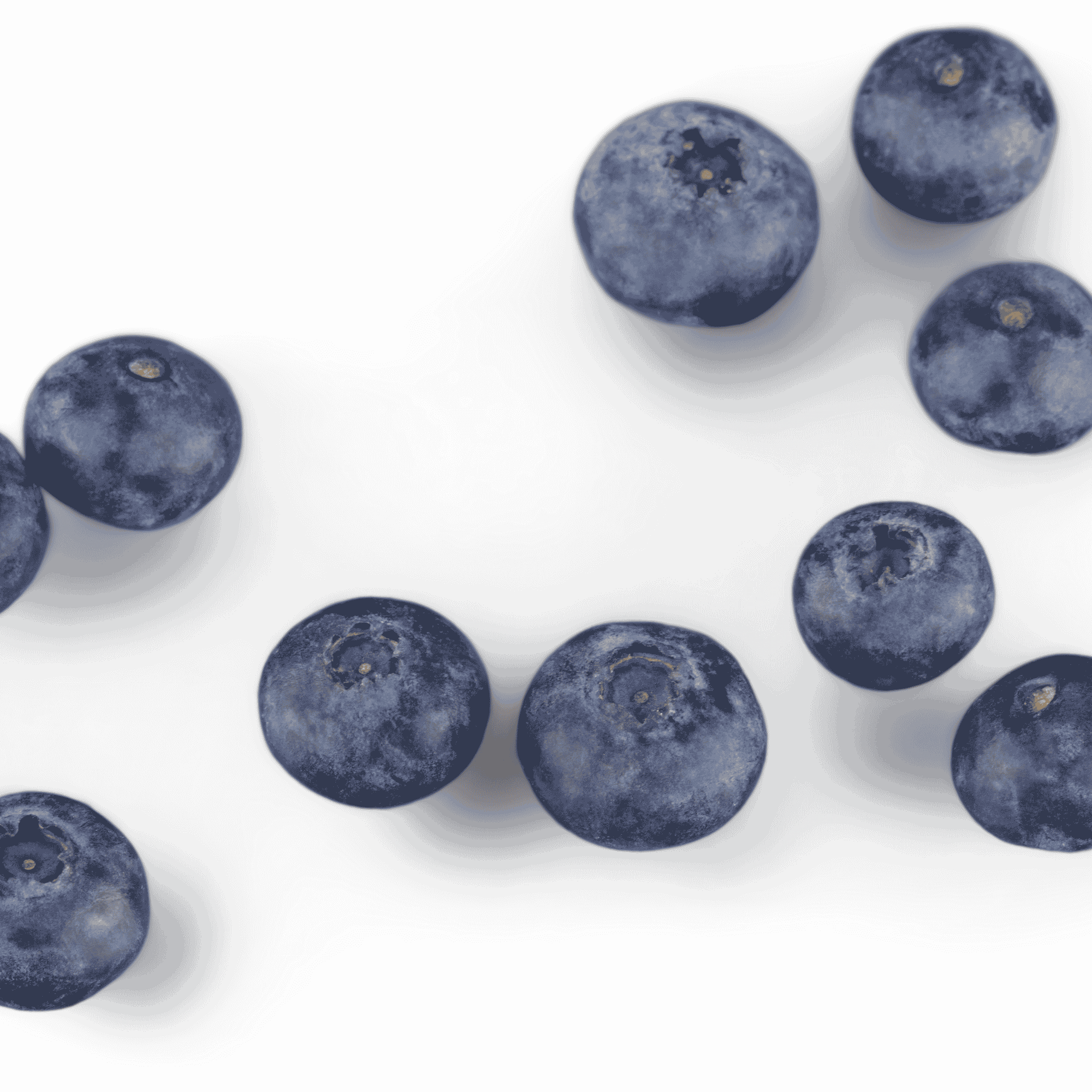 Blueberry Seed Oil