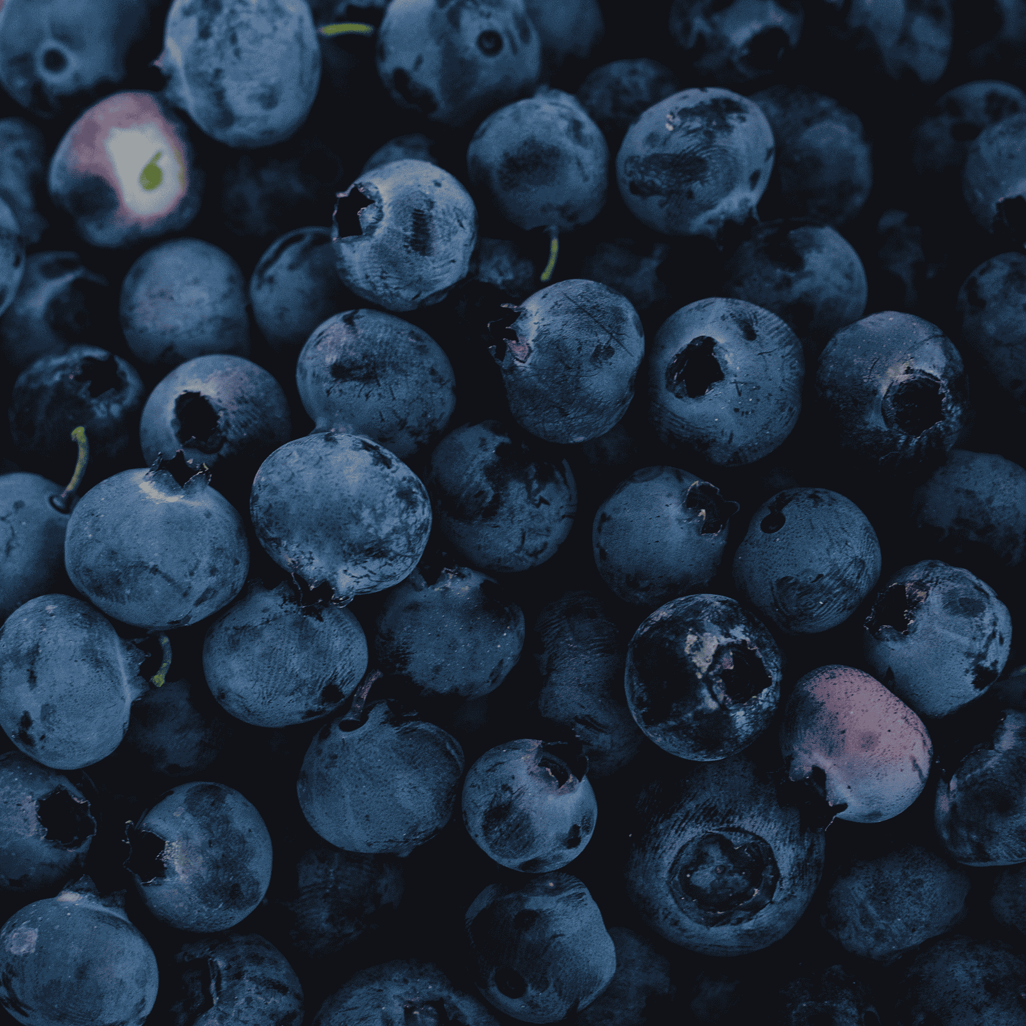 Blueberry Seed Oil
