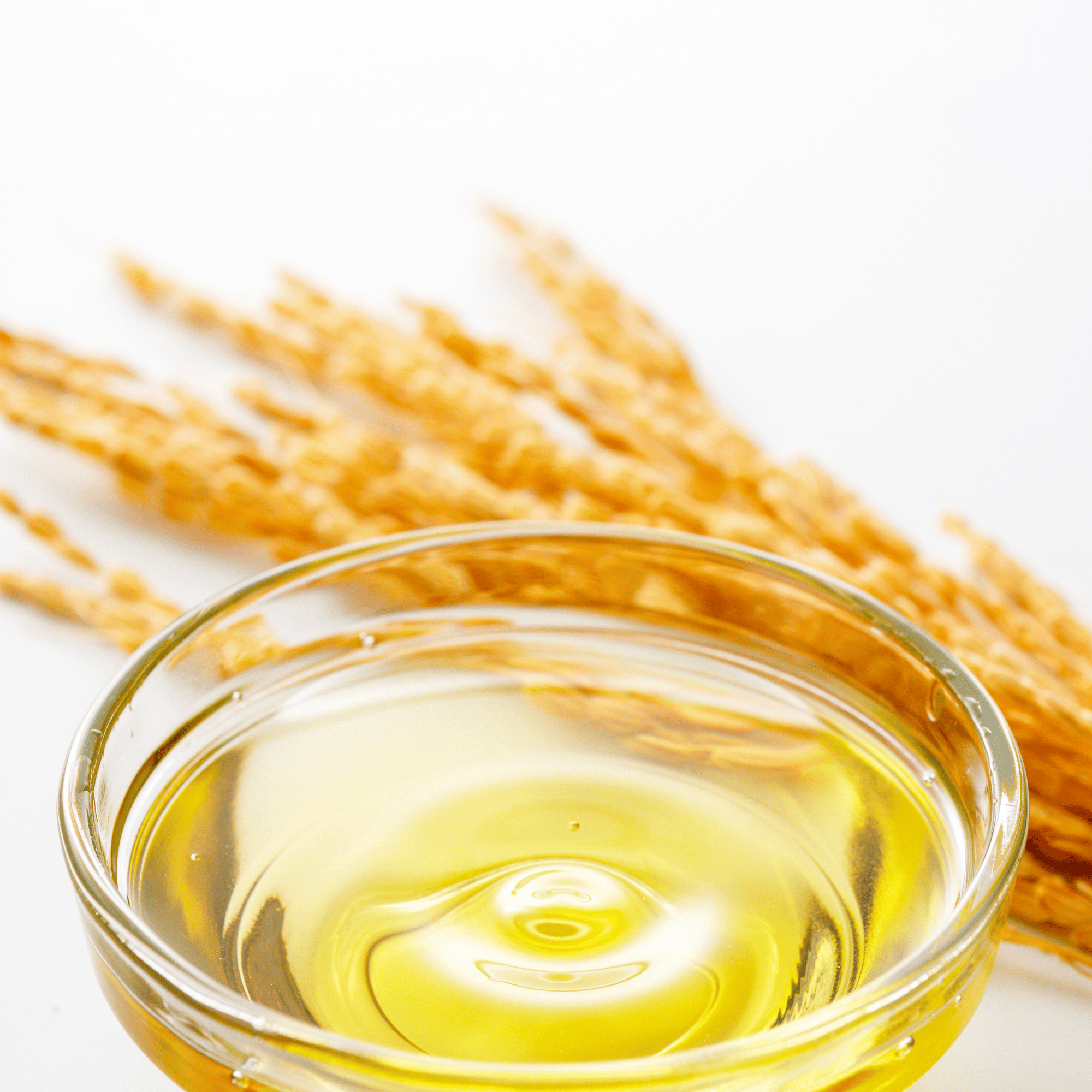 Rice Bran Oil Benefits