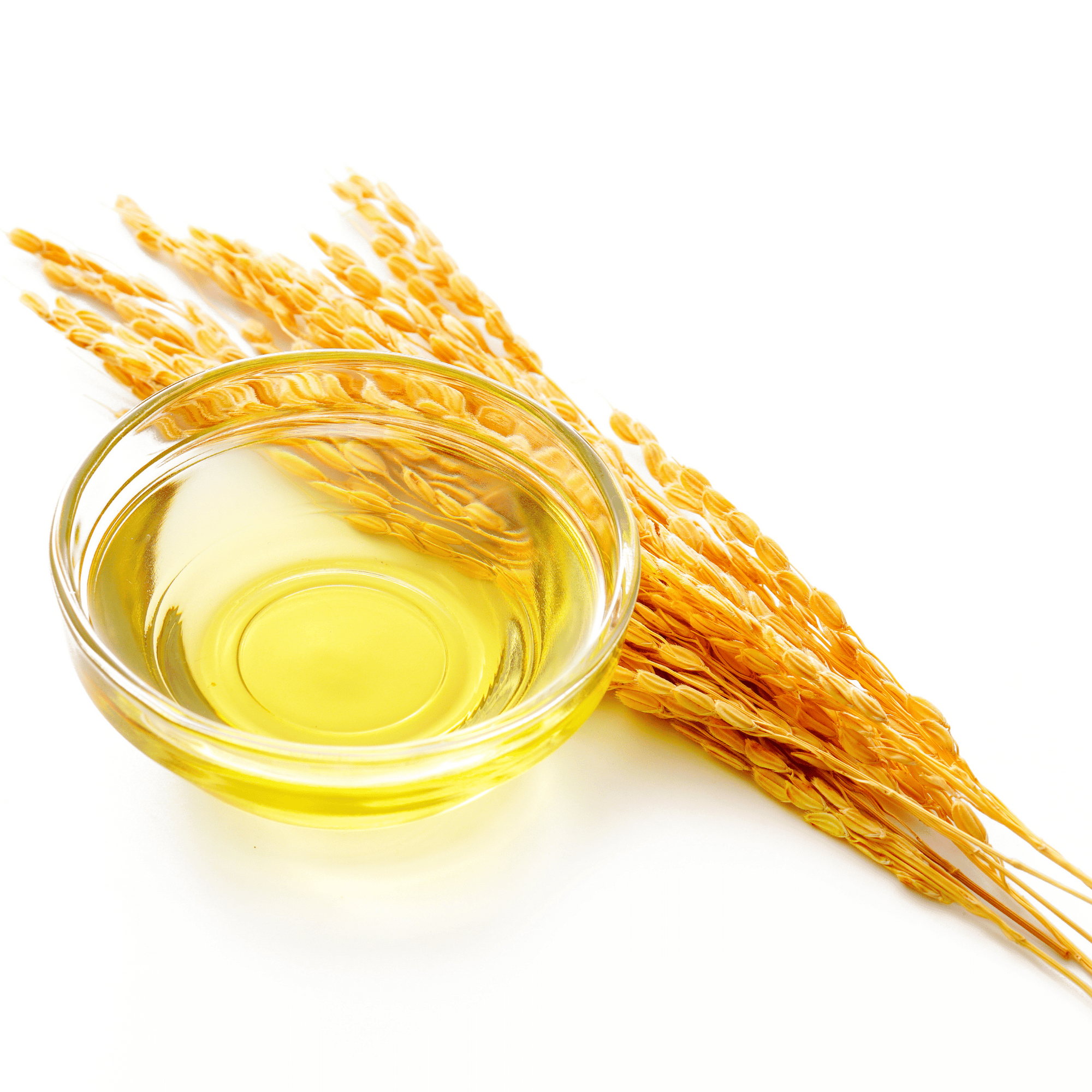 Rice Bran Oil Benefits