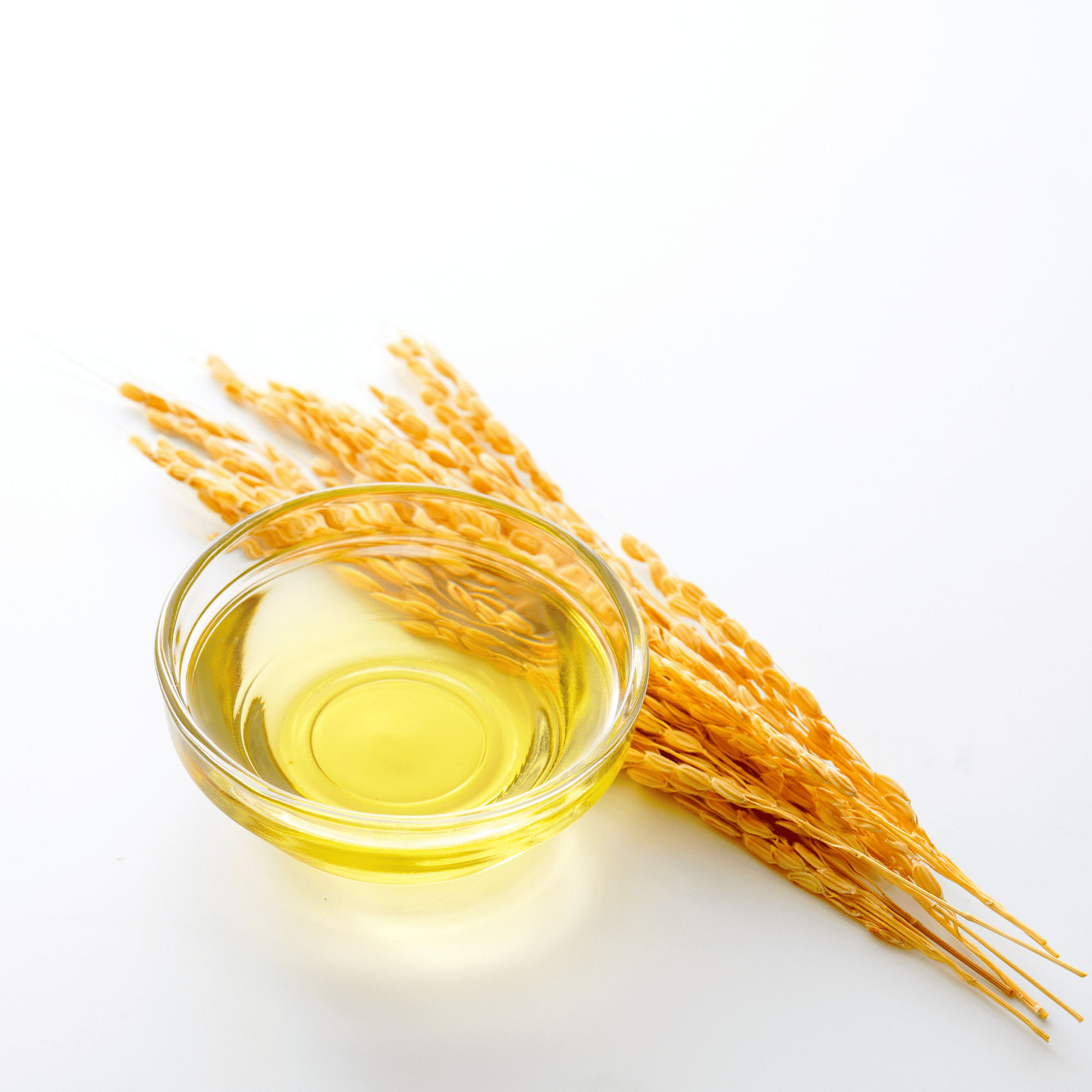 Rice bran oil