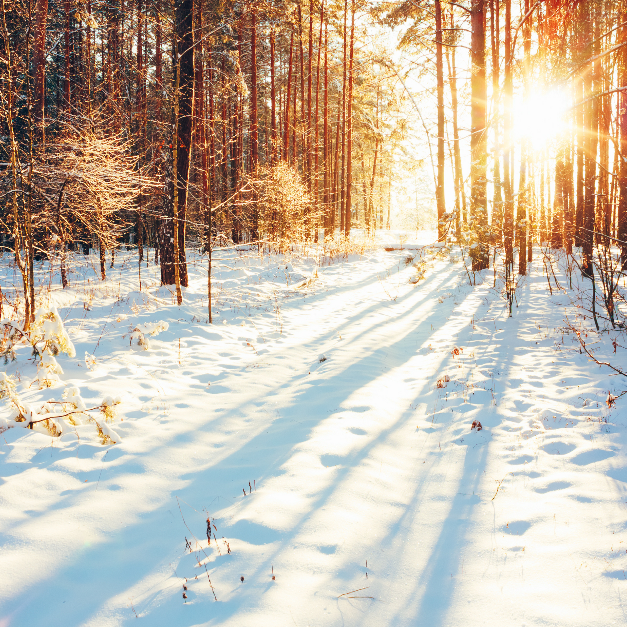 Winter Dry Skin - What is it?