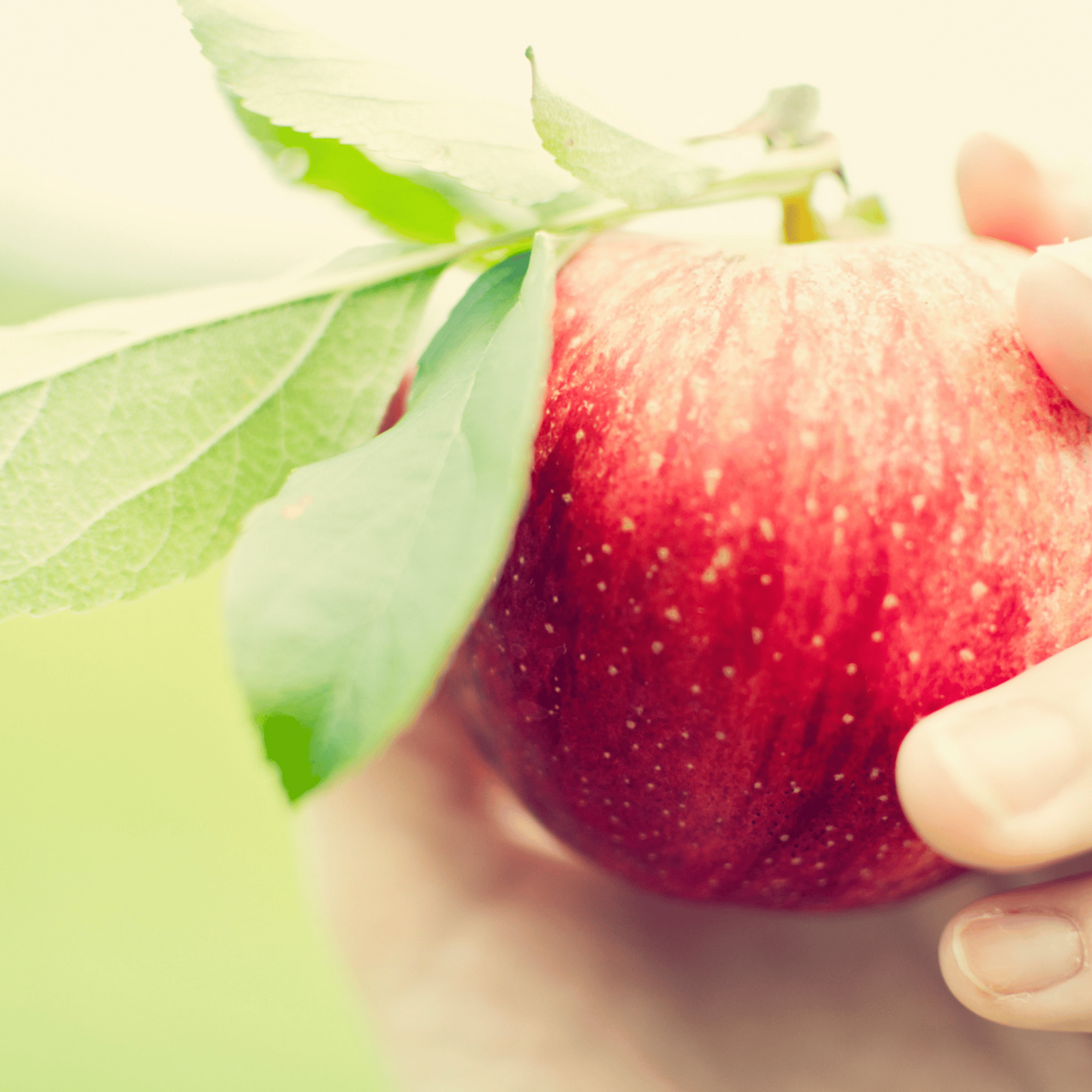 Apple Seed Oil Benefits for Skin