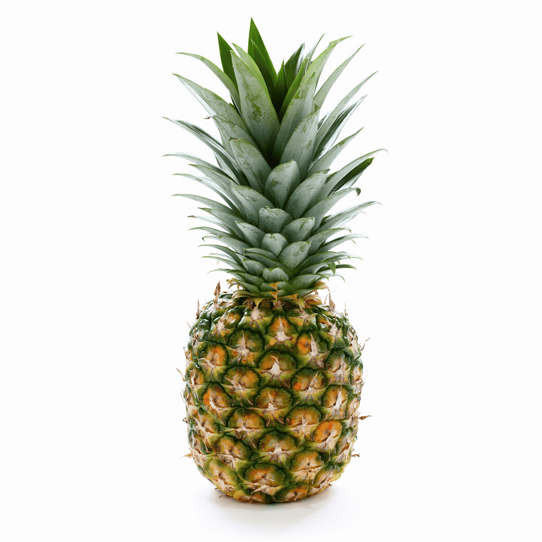 Best Vitamin C Oil - Brightening Pineapple Vitamin C Face Oil – Dry Skin  Love Skincare
