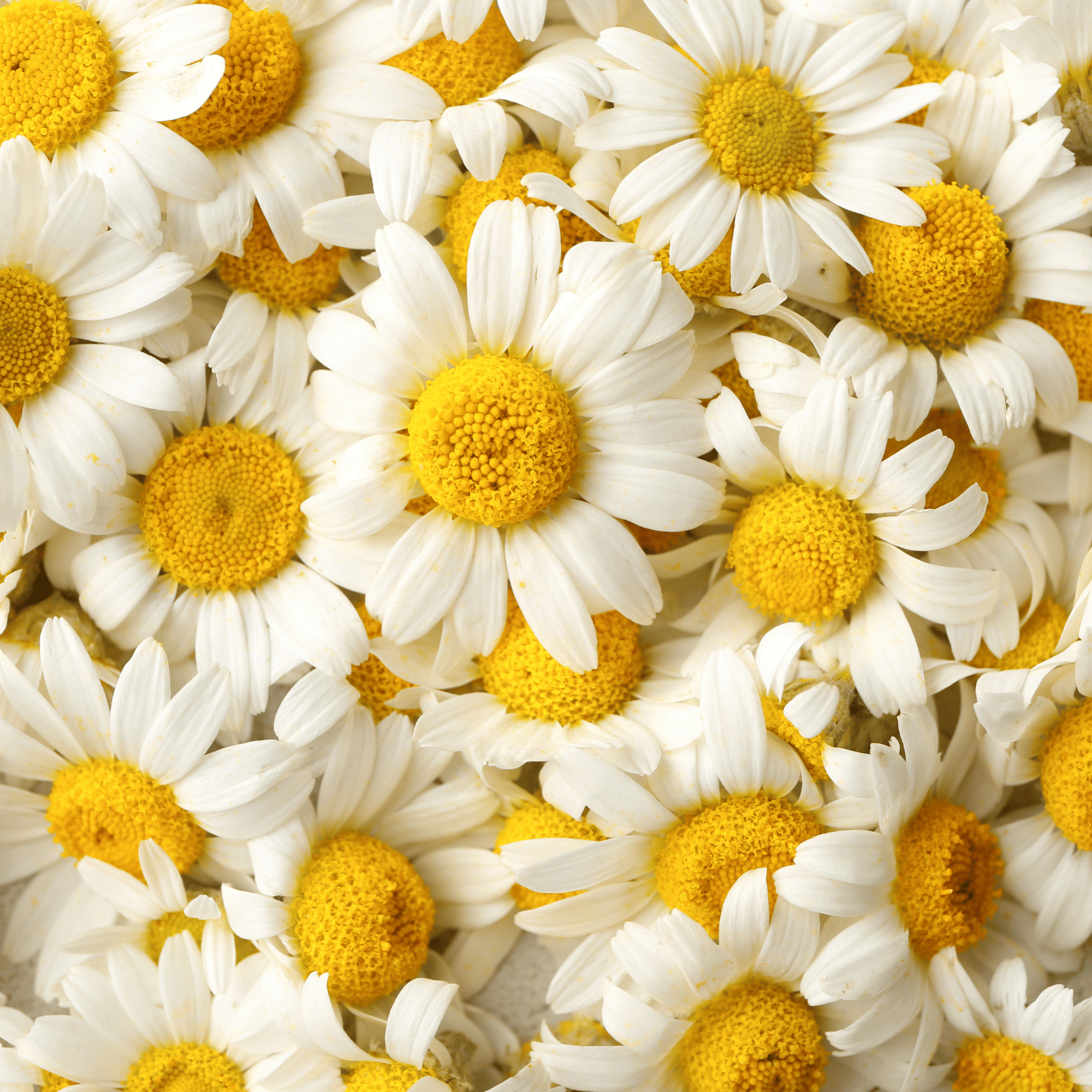 Best Cleanser for Sensitive Skin