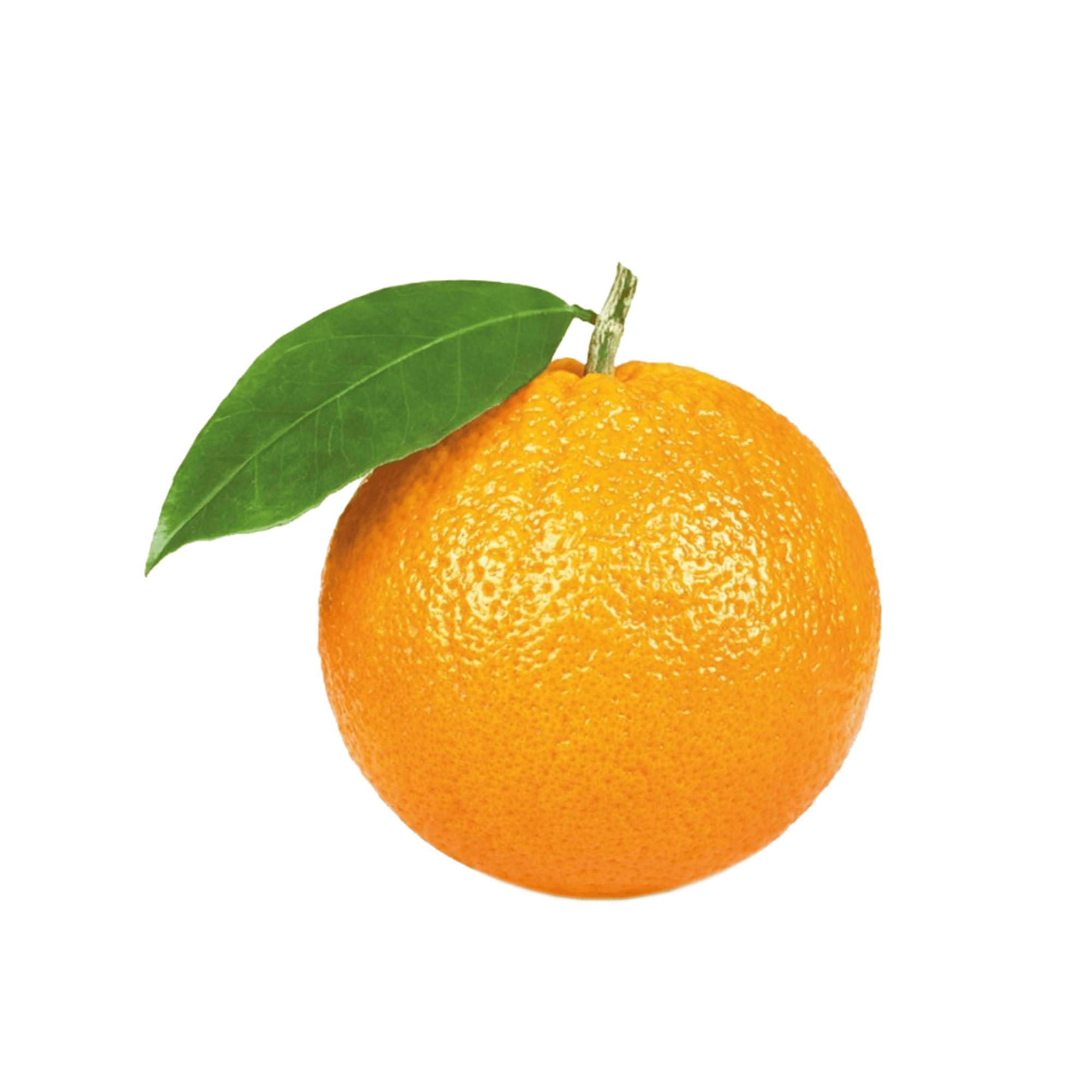 Best Oil Cleanser for Dry Skin is Dry Skin Love Wild Orange Oil Cleanser