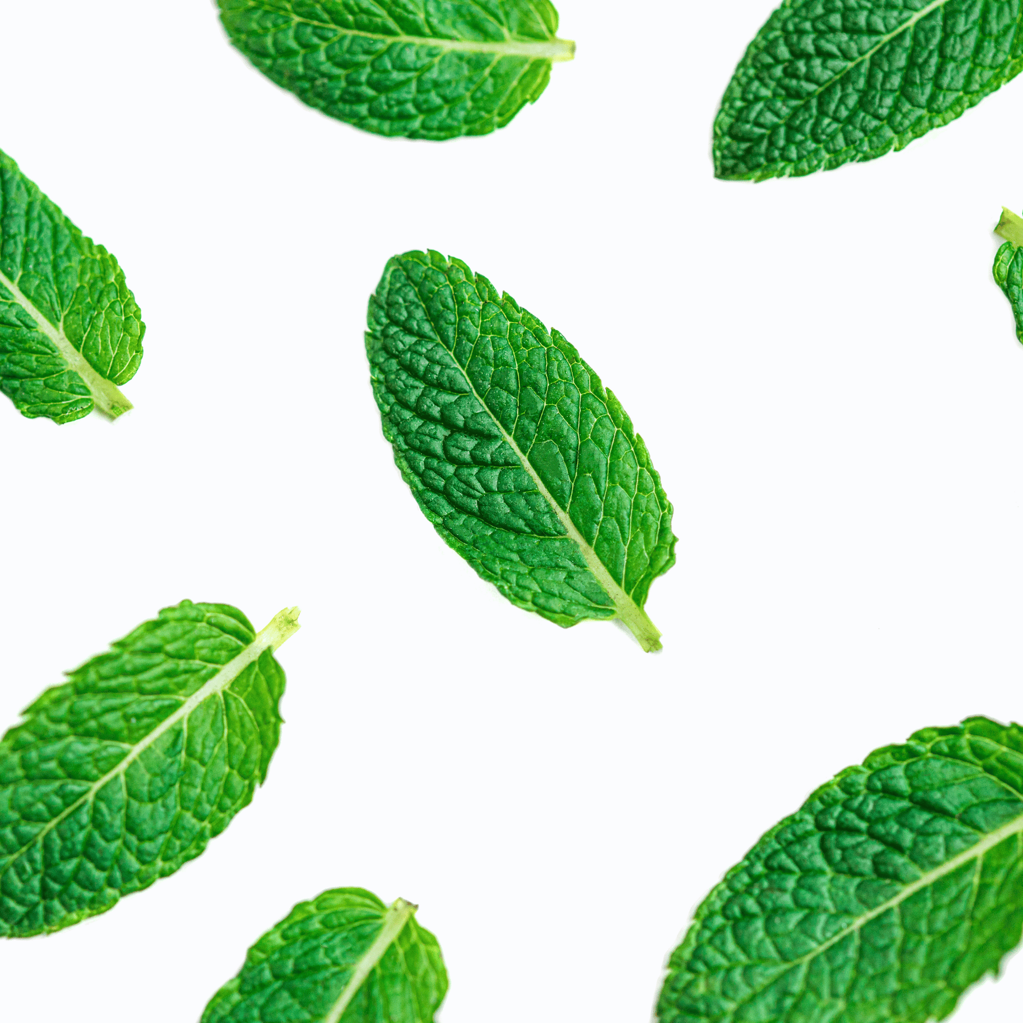 Solution for Itching Scalp - Dry Skin Love Peppermint Pre-Shampoo Scalp Oil