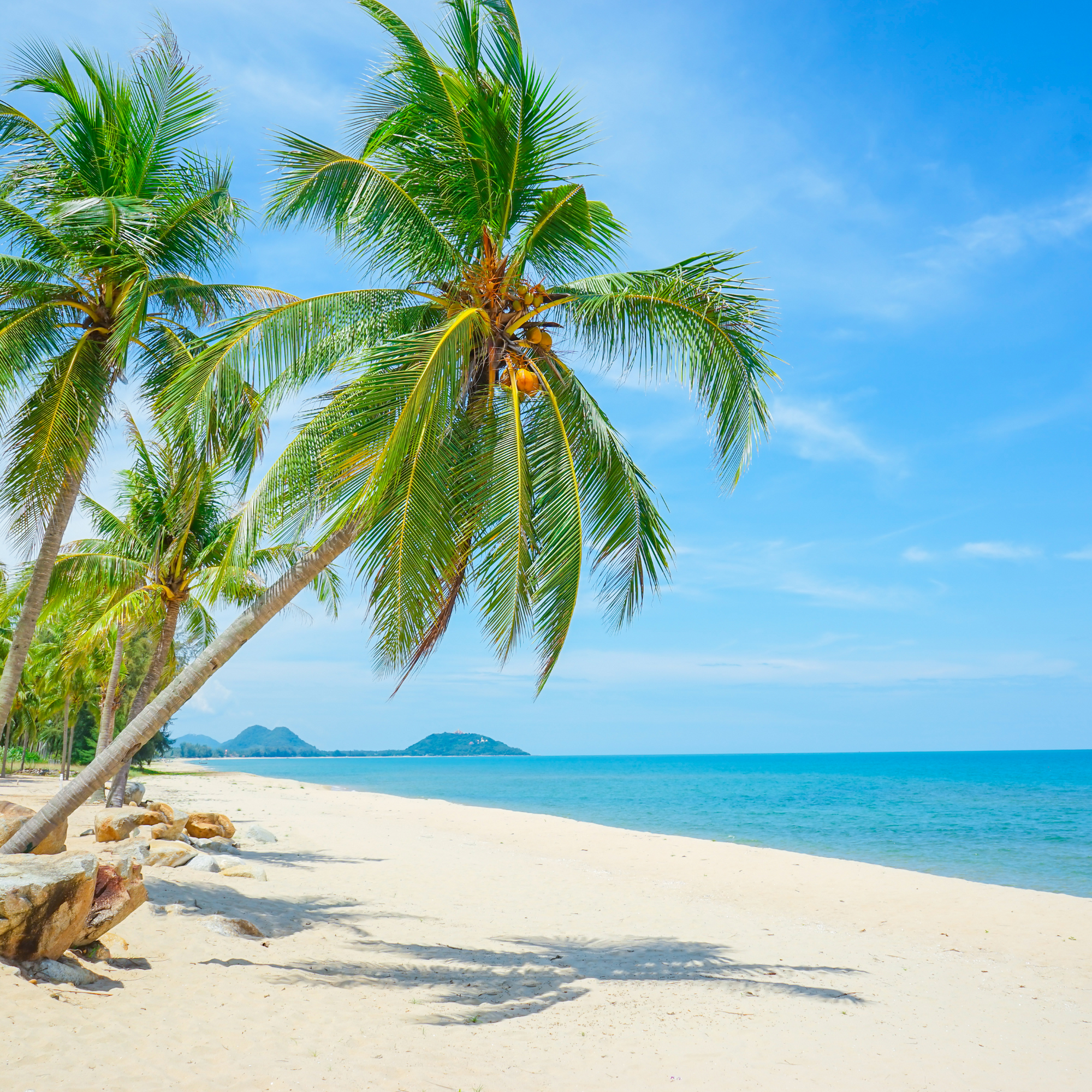 Coconut Oil Skin Benefits